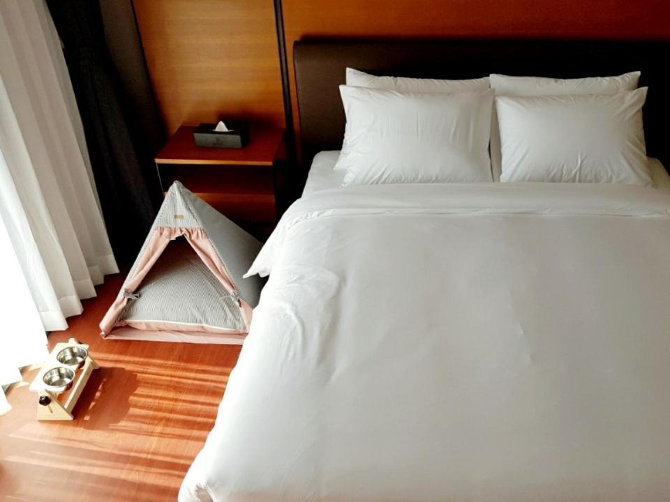Seaside Arden Otel Seogwipo Dış mekan fotoğraf