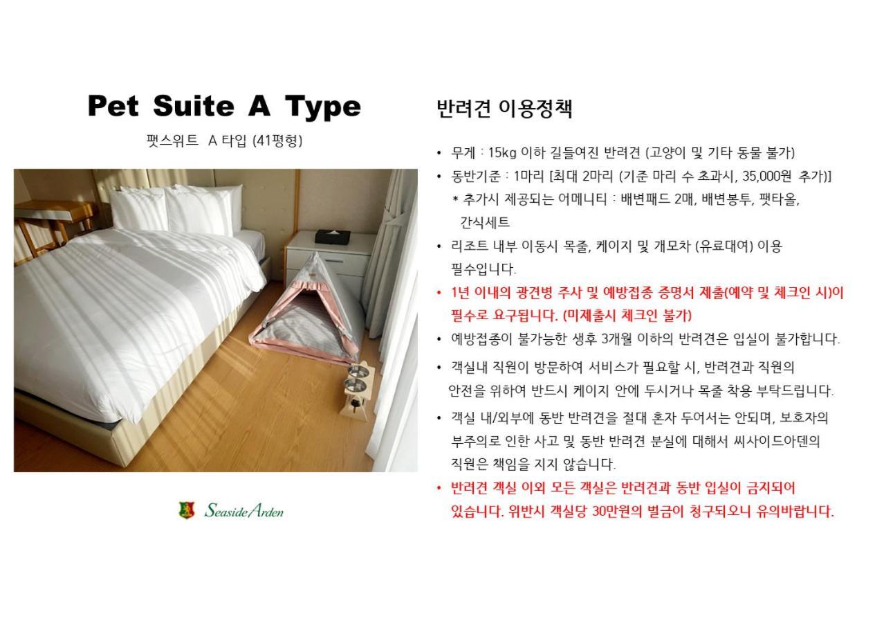 Seaside Arden Otel Seogwipo Dış mekan fotoğraf
